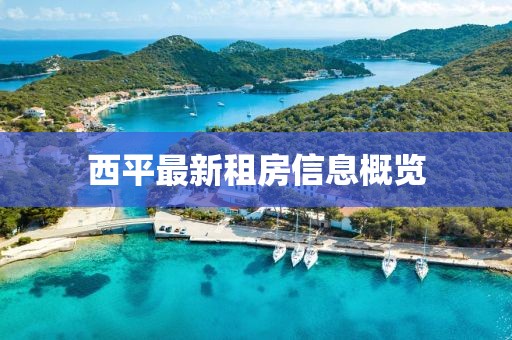 西平最新租房信息概览