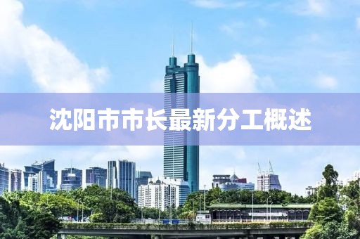沈阳市市长最新分工概述