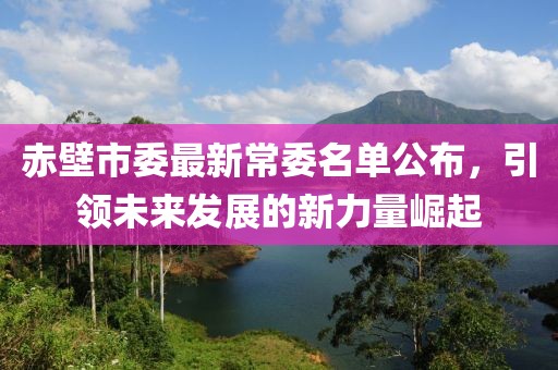 赤壁市委最新常委名单公布，引领未来发展的新力量崛起