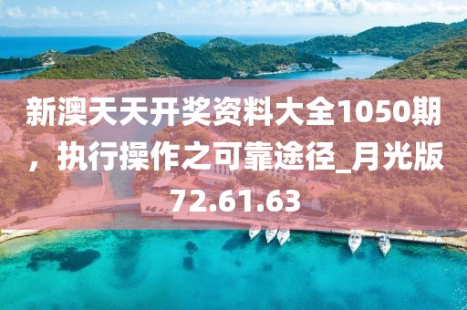 新澳天天开奖资料大全1050期，执行操作之可靠途径_月光版72.61.63