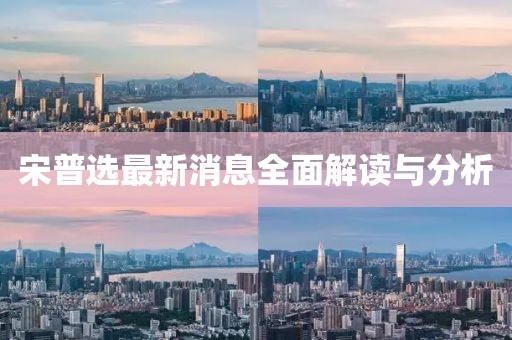 宋普选最新消息全面解读与分析