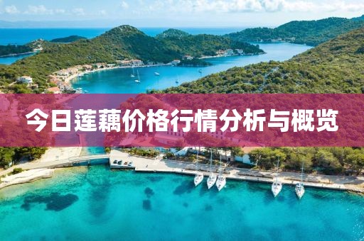 今日莲藕价格行情分析与概览