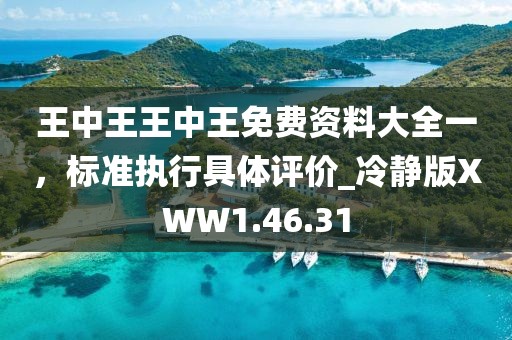 王中王王中王免费资料大全一，标准执行具体评价_冷静版XWW1.46.31