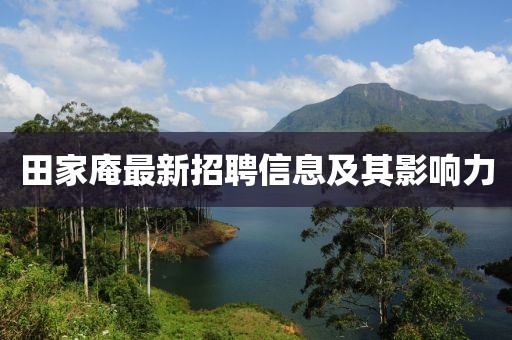 田家庵最新招聘信息及其影响力