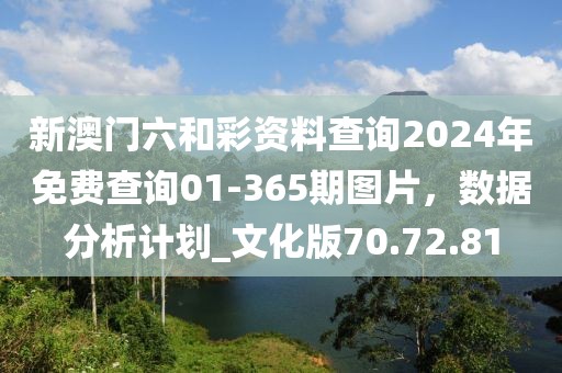 新澳门六和彩资料查询2024年免费查询01-365期图片，数据分析计划_文化版70.72.81
