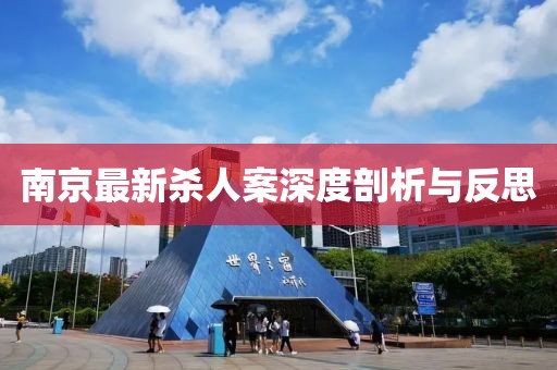 南京最新杀人案深度剖析与反思