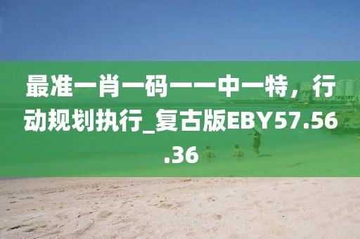 最准一肖一码一一中一特，行动规划执行_复古版EBY57.56.36