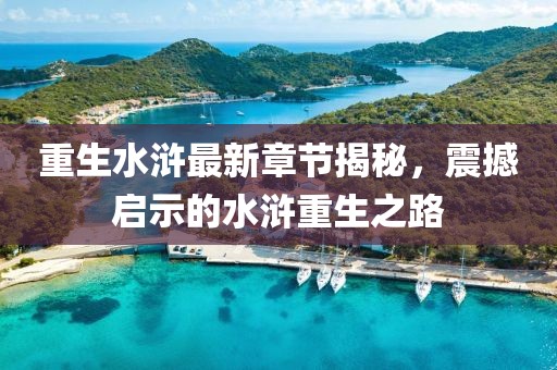2024年12月 第41页