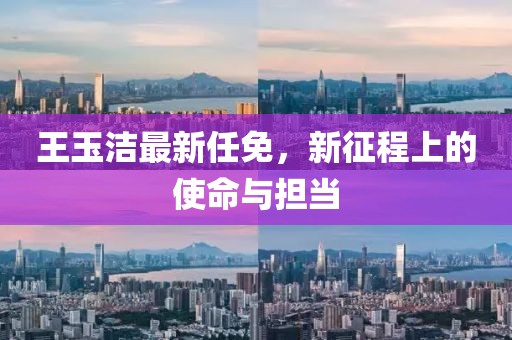 王玉洁最新任免，新征程上的使命与担当