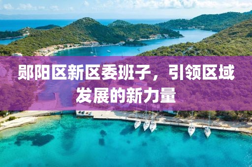 郧阳区新区委班子，引领区域发展的新力量