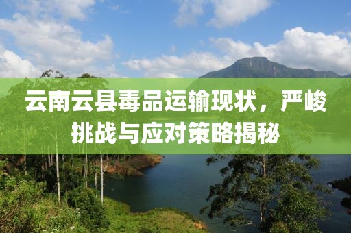 云南云县毒品运输现状，严峻挑战与应对策略揭秘