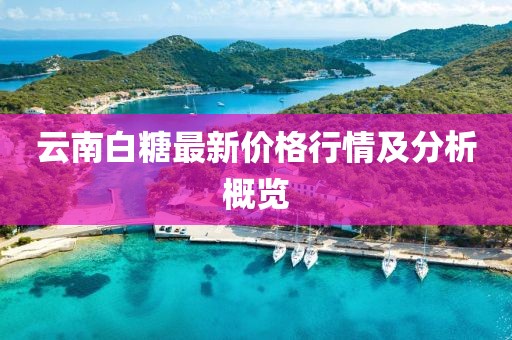 云南白糖最新价格行情及分析概览