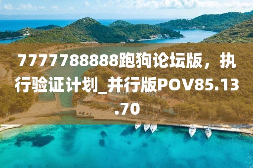 7777788888跑狗论坛版，执行验证计划_并行版POV85.13.70