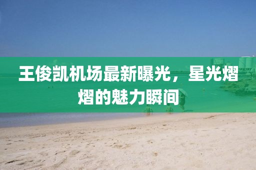 王俊凯机场最新曝光，星光熠熠的魅力瞬间
