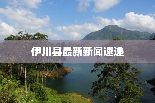 伊川县最新新闻速递