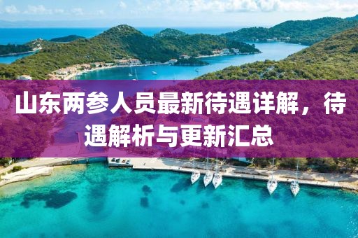 山东两参人员最新待遇详解，待遇解析与更新汇总