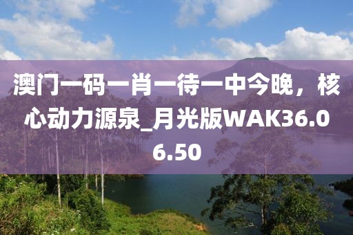 澳门一码一肖一待一中今晚，核心动力源泉_月光版WAK36.06.50