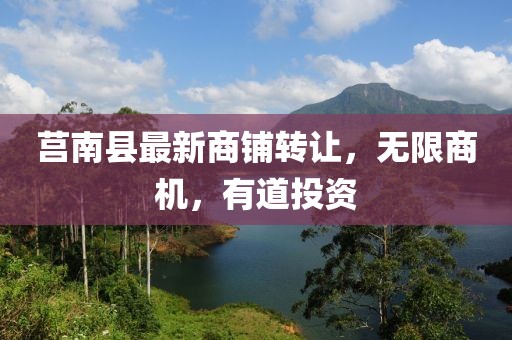 莒南县最新商铺转让，无限商机，有道投资