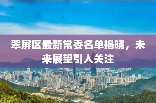 翠屏区最新常委名单揭晓，未来展望引人关注