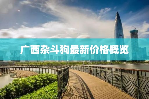 广西杂斗狗最新价格概览