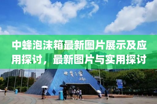 中蜂泡沫箱最新图片展示及应用探讨，最新图片与实用探讨