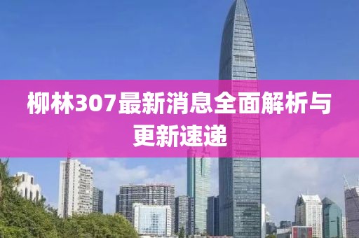 柳林307最新消息全面解析与更新速递