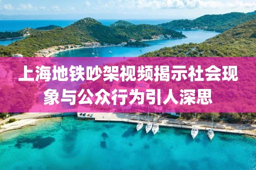 上海地铁吵架视频揭示社会现象与公众行为引人深思