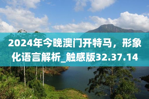 2024年今晚澳门开特马，形象化语言解析_触感版32.37.14