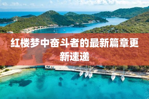 红楼梦中奋斗者的最新篇章更新速递