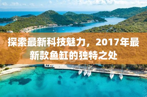 探索最新科技魅力，2017年最新款鱼缸的独特之处