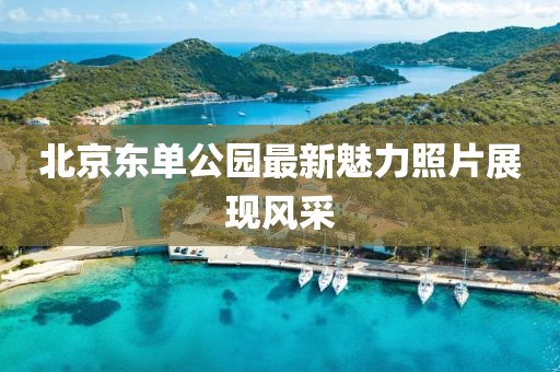 北京东单公园最新魅力照片展现风采