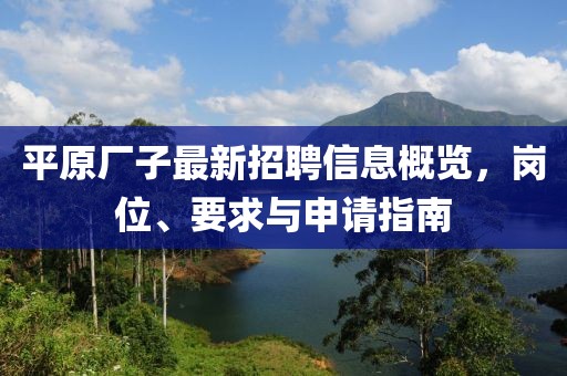 平原厂子最新招聘信息概览，岗位、要求与申请指南