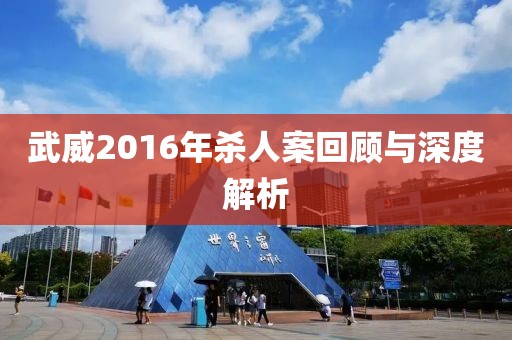 武威2016年杀人案回顾与深度解析