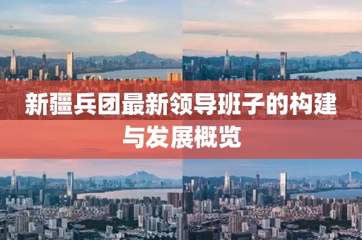 新疆兵团最新领导班子的构建与发展概览