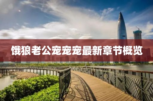 饿狼老公宠宠宠最新章节概览
