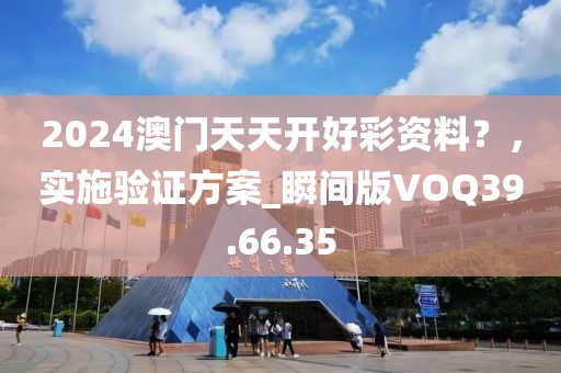 2024澳门天天开好彩资料？，实施验证方案_瞬间版VOQ39.66.35