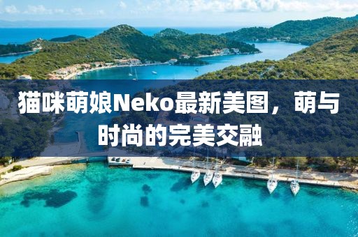 猫咪萌娘Neko最新美图，萌与时尚的完美交融