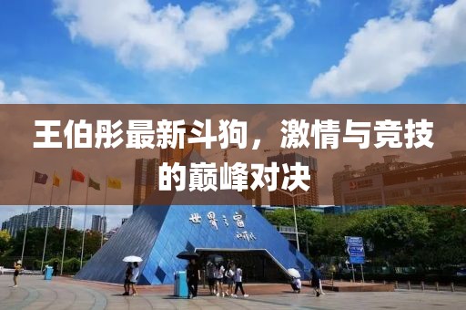 王伯彤最新斗狗，激情与竞技的巅峰对决