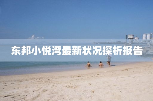 东邦小悦湾最新状况探析报告
