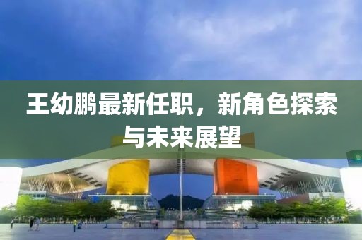 王幼鹏最新任职，新角色探索与未来展望