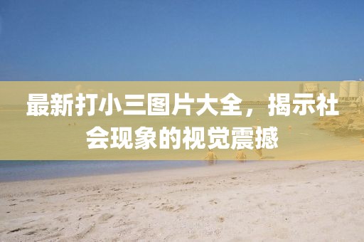 最新打小三图片大全，揭示社会现象的视觉震撼