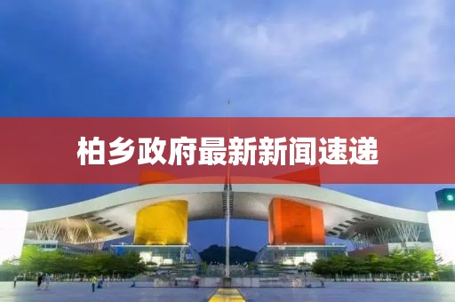 柏乡政府最新新闻速递