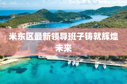 米东区最新领导班子铸就辉煌未来