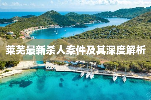 莱芜最新杀人案件及其深度解析
