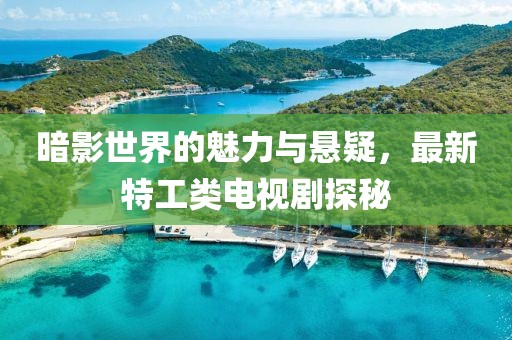 暗影世界的魅力与悬疑，最新特工类电视剧探秘