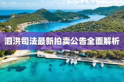 泗洪司法最新拍卖公告全面解析