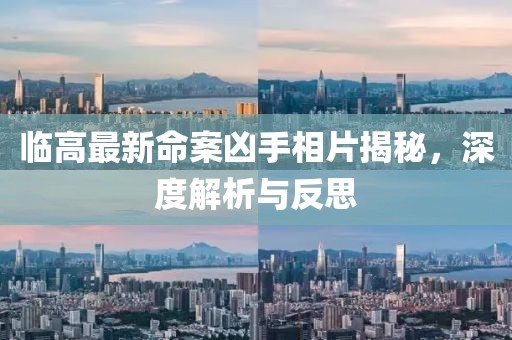 临高最新命案凶手相片揭秘，深度解析与反思