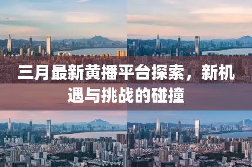 三月最新黄播平台探索，新机遇与挑战的碰撞