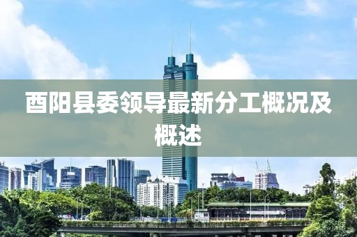酉阳县委领导最新分工概况及概述