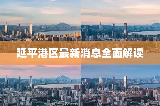延平港区最新消息全面解读